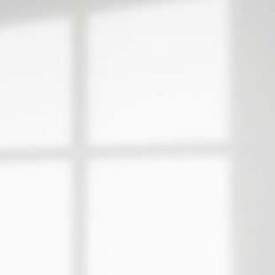 Window Shadow Overlay_01 Horrors
