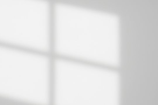 Window Shadow Overlay_05 Action