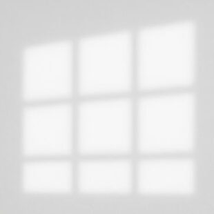 Window Shadow Overlay_07 Science