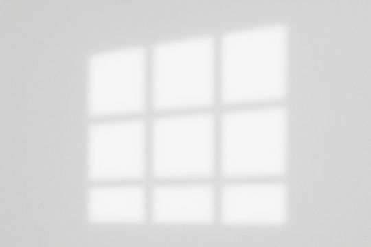 Window Shadow Overlay_07 Science