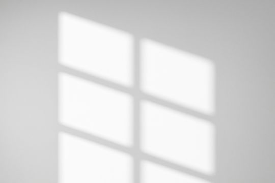 Window Shadow Overlay_11 Biography