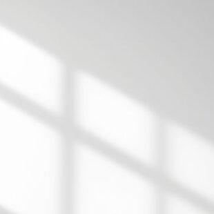 Window Shadow Overlay_13 Arte
