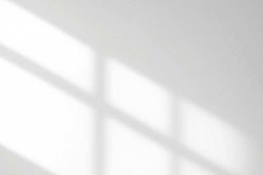 Window Shadow Overlay_13 Arte