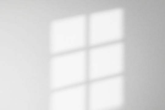 Window Shadow Overlay_14 Adventure