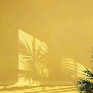 Abstract yellow studio background for product presentation empty Book Presentation of Artist Novels