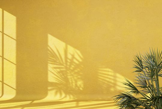 Abstract yellow studio background for product presentation empty Facts You Didn't Know About Books